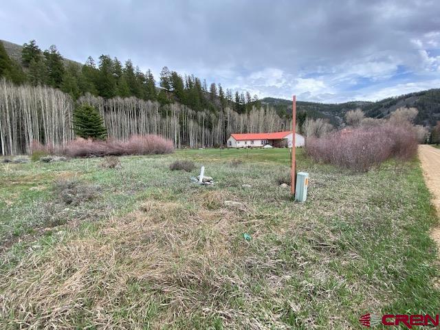 48 County Road 771 Ohio City, CO 81237 - Photo 25 of 31 a backyard of a house with table and chairs