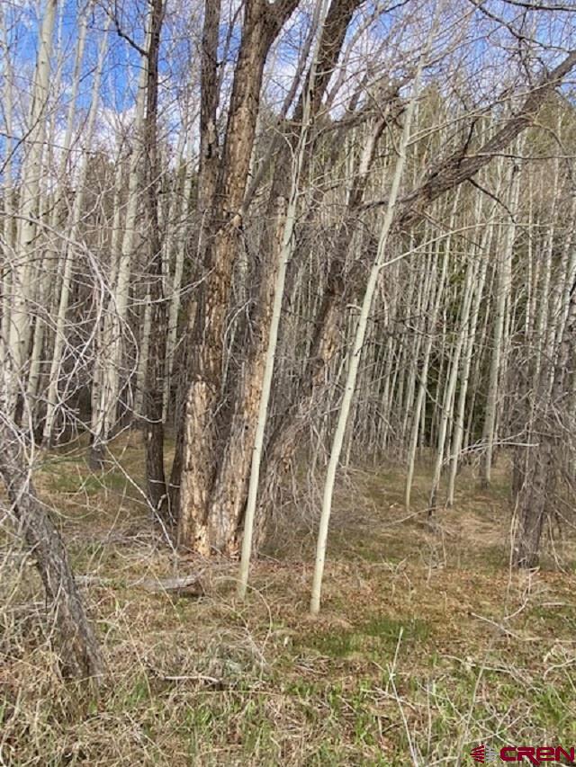 48 County Road 771 Ohio City, CO 81237 - Photo 27 of 31 a view of under construction area