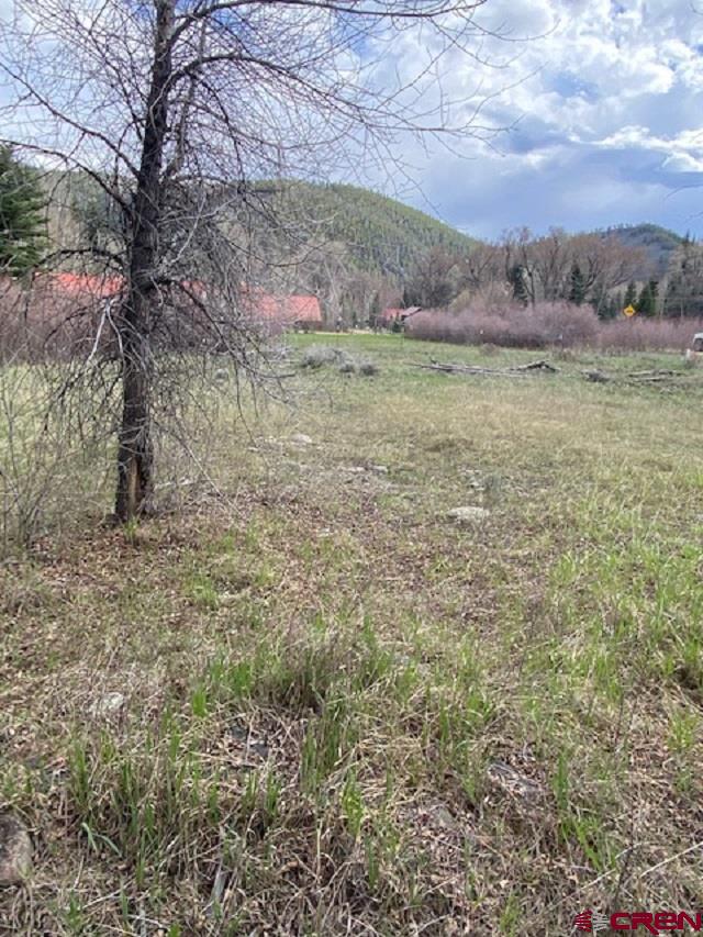 48 County Road 771 Ohio City, CO 81237 - Photo 28 of 31 a view of a dry yard with trees in the background