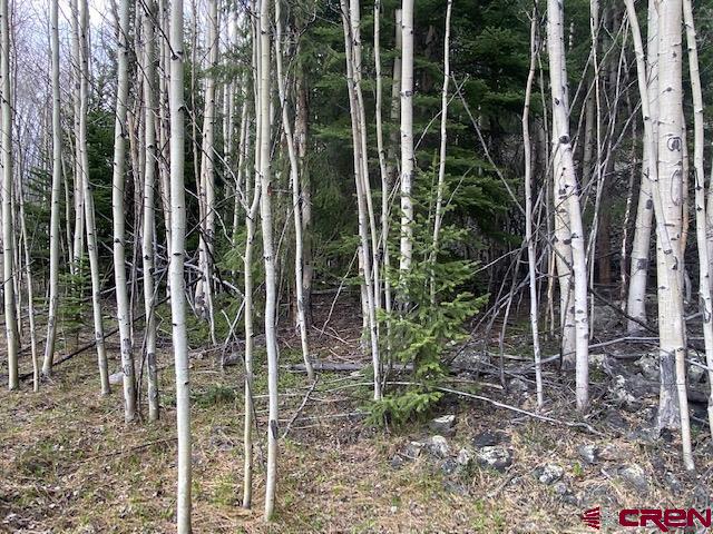 48 County Road 771 Ohio City, CO 81237 - Photo 30 of 31