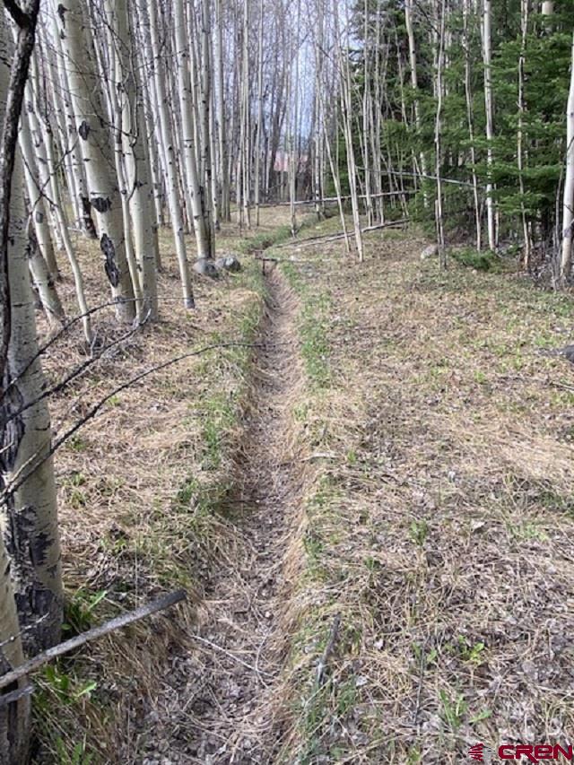 48 County Road 771 Ohio City, CO 81237 - Photo 31 of 31 a backyard of a house with lots of green space and chair