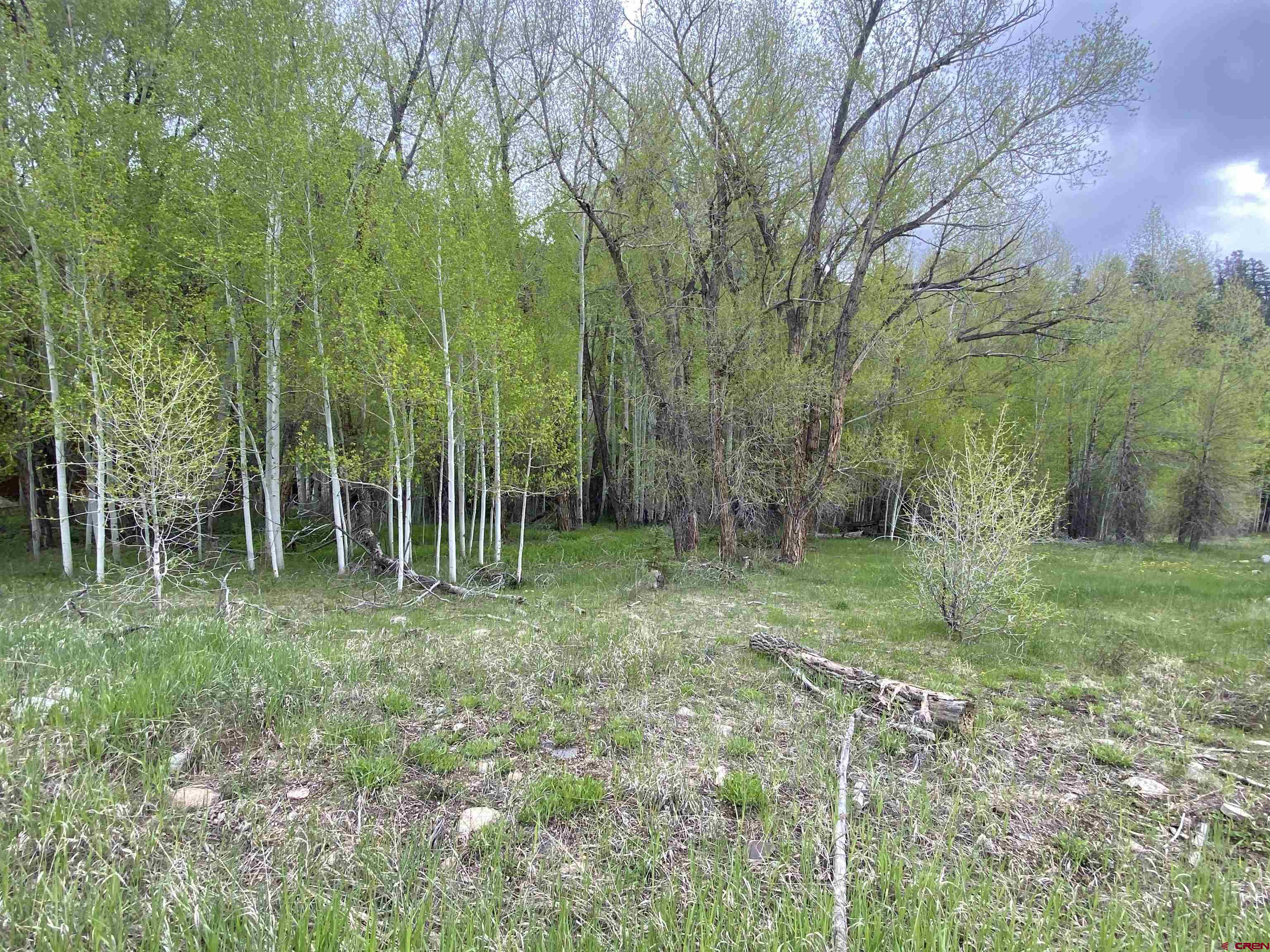 48 County Road 771 Ohio City, CO 81237 - Photo 4 of 31 a view of backyard with green space