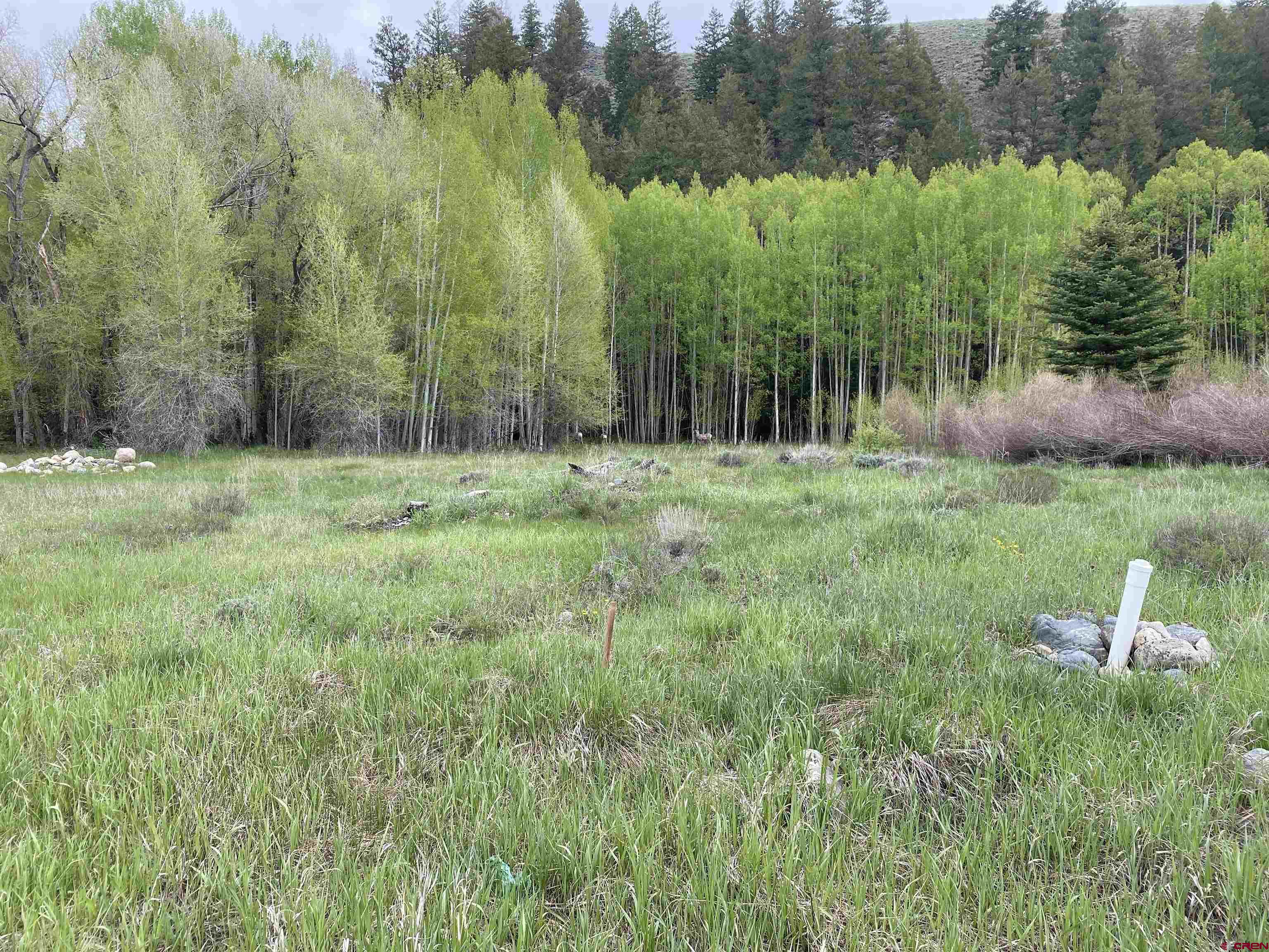 48 County Road 771 Ohio City, CO 81237 - Photo 5 of 31 a ground with lots of green space and trees
