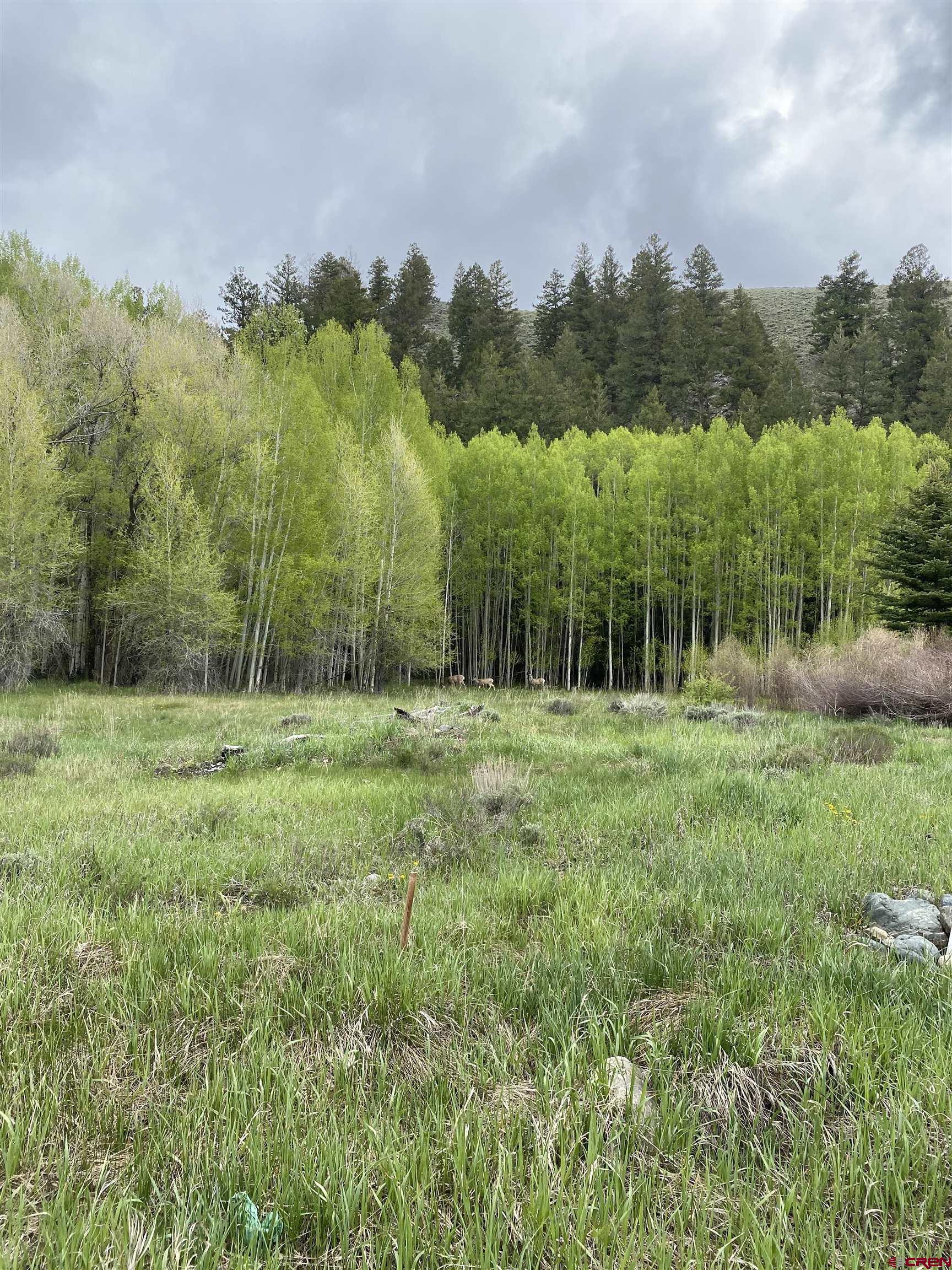 48 County Road 771 Ohio City, CO 81237 - Photo 6 of 31 a view of outdoor space with deck and yard