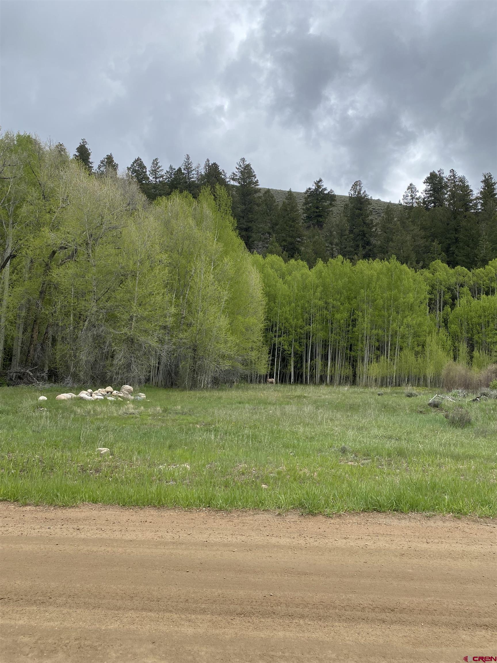 48 County Road 771 Ohio City, CO 81237 - Photo 7 of 31 a view of a field with a small yard and a houses