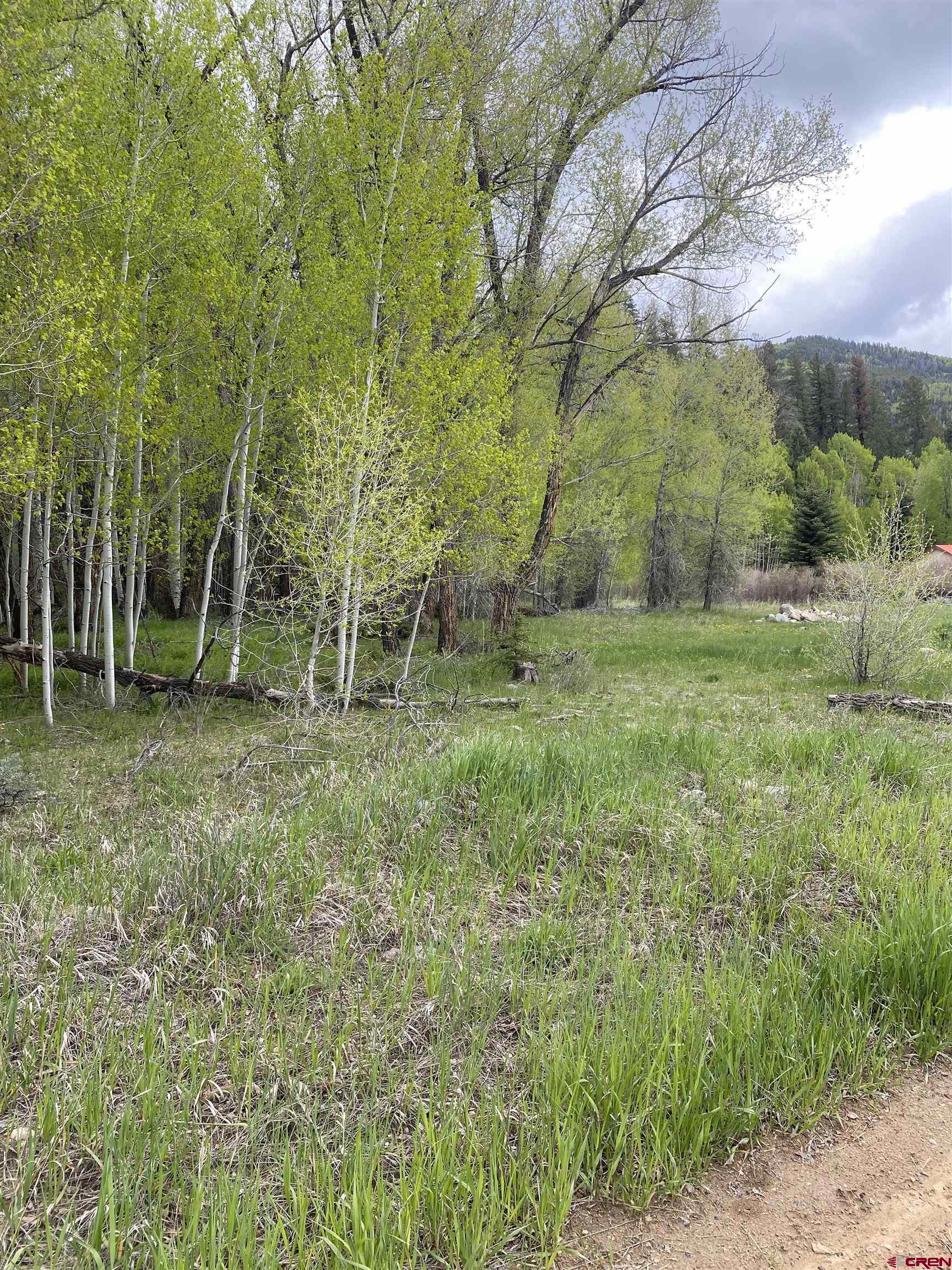 48 County Road 771 Ohio City, CO 81237 - Photo 8 of 31 a big yard with lots of green space and deers