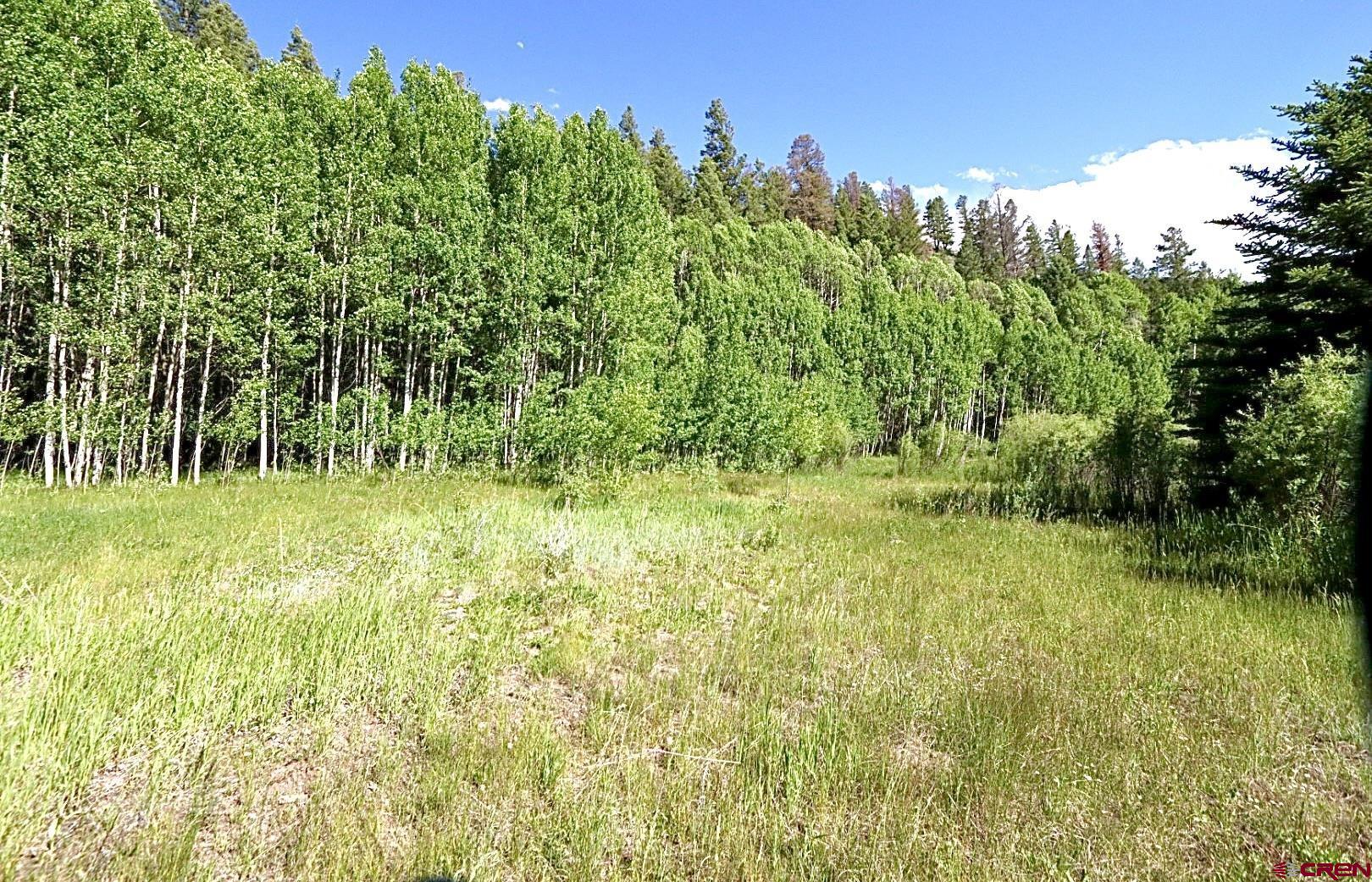 48 County Road 771 Ohio City, CO 81237 - Photo 9 of 31 a garden view