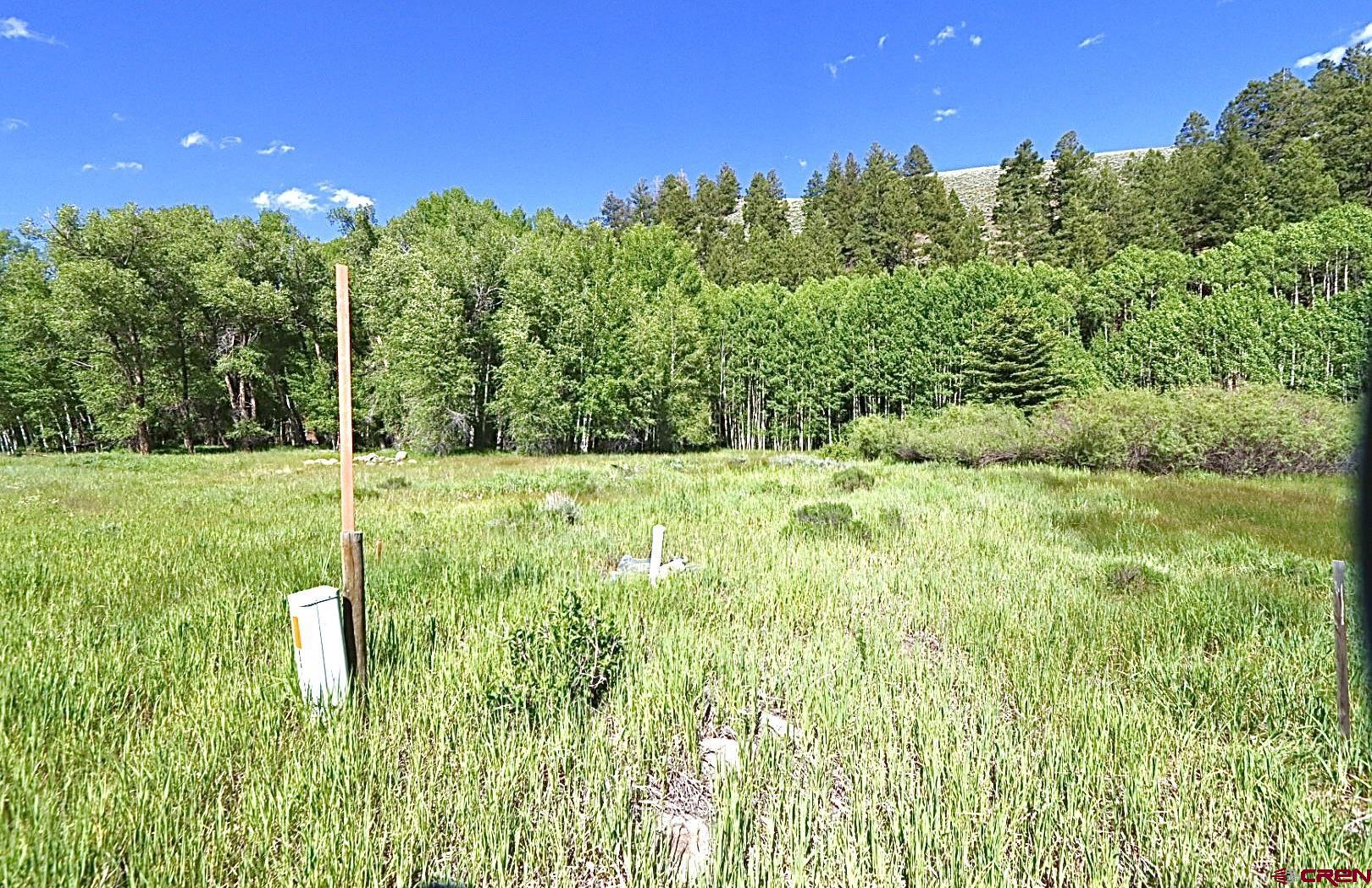 48 County Road 771 Ohio City, CO 81237 - Photo 10 of 31 a backyard of a house with lots of green space and outdoor seating