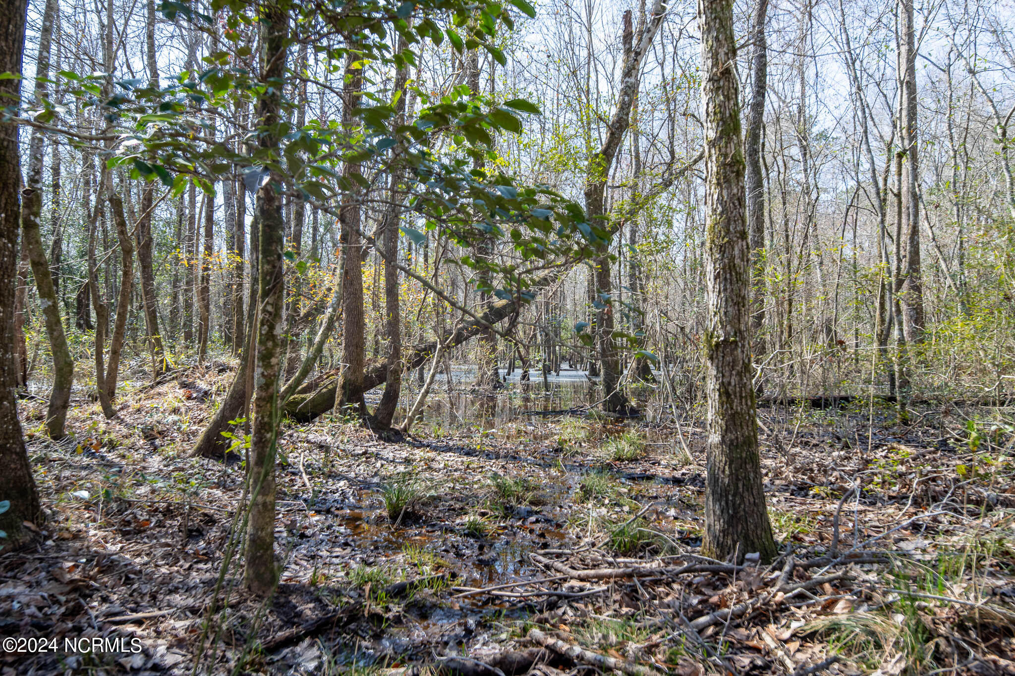 0 Andermora Road Maple Hill, NC 28454 - Photo 25 of 27 A-24