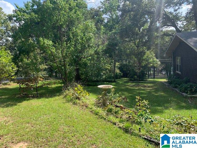 1112 Mountain Brook Road Oxford, AL 36203 - Photo 36 of 50