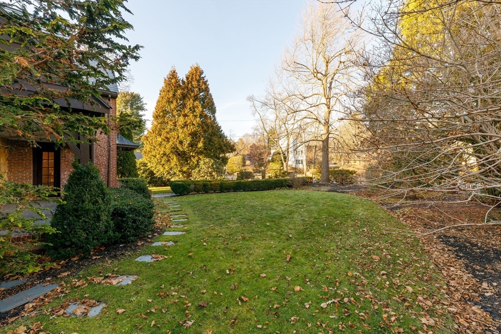 6 Risley Road Newton, MA 02465 - Photo 19 of 21 a yard with tall trees