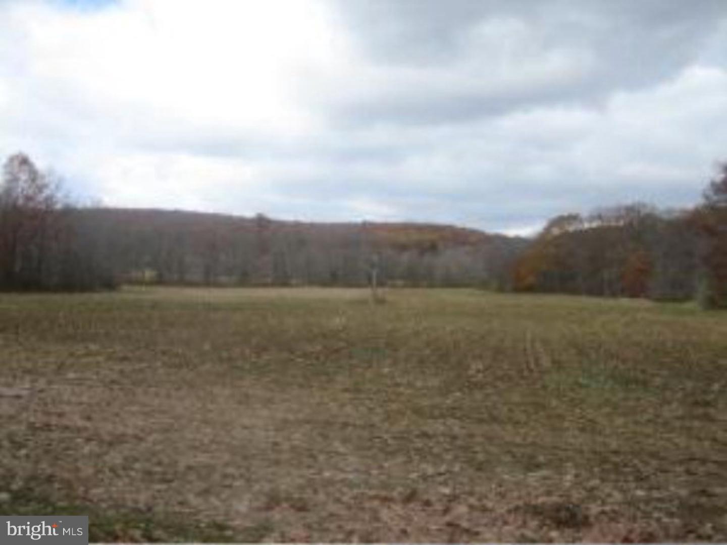 1 Berry Road Andreas, PA 18211 - Photo 1 of 1 Gallery Image 1