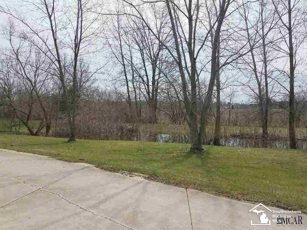 10500 Minx Road Temperance, MI 48182 - Photo 13 of 13 Side Yard View 2