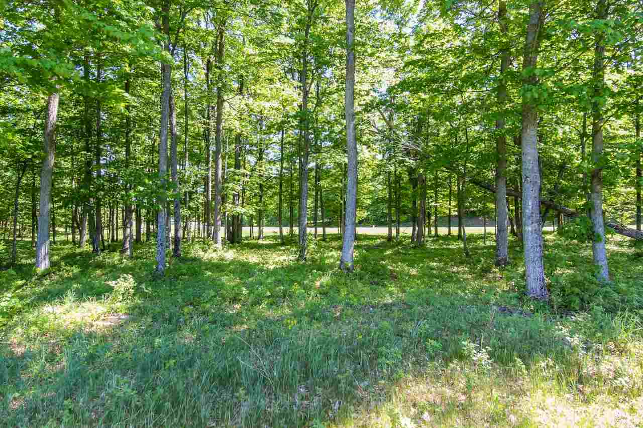 3 Heather Ridge Trail Beulah, MI 49617 - Photo 3 of 8