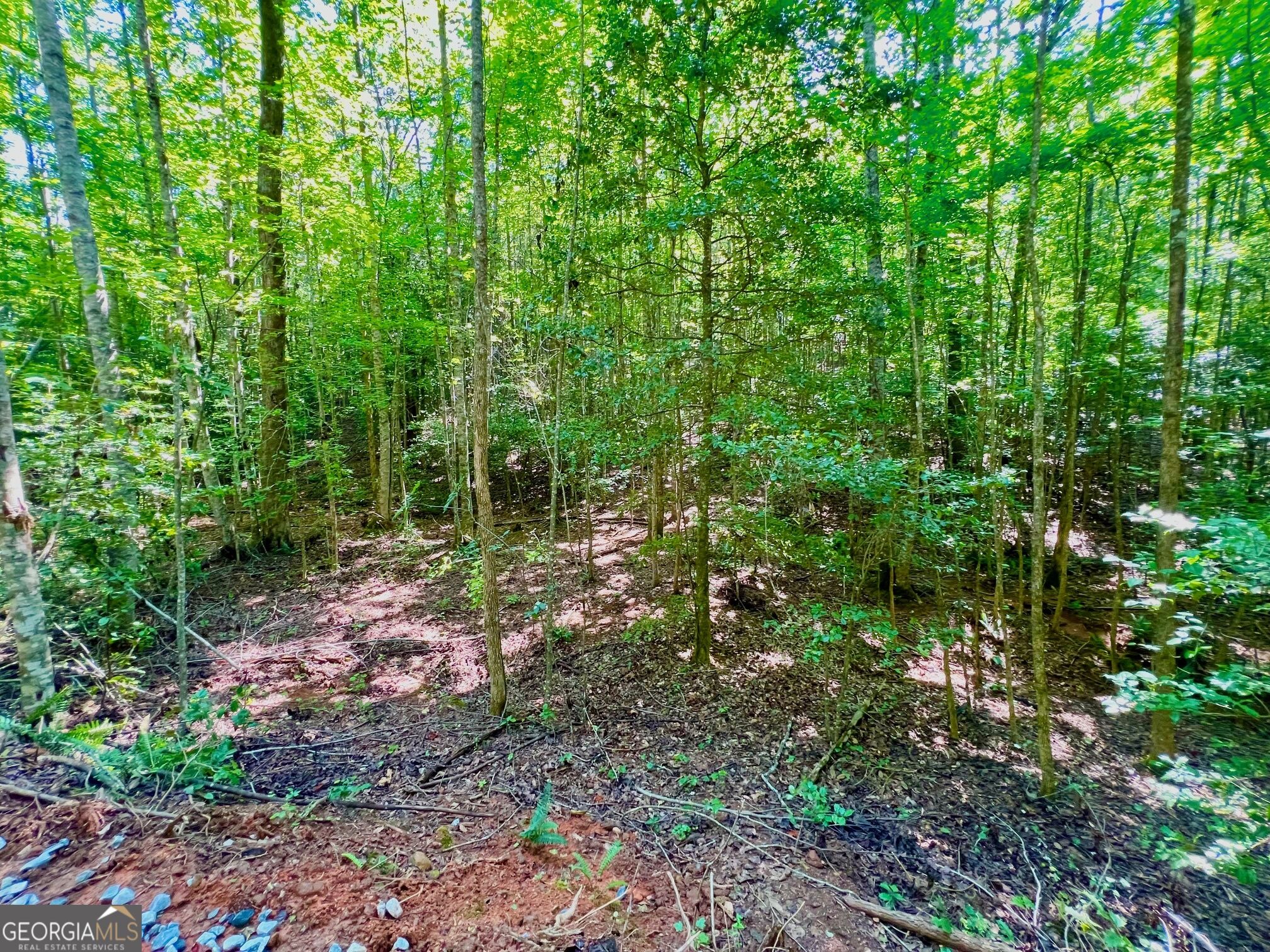 2 Afton Road Marble Hill, GA 30148 - Photo 11 of 19 Gallery Image 11