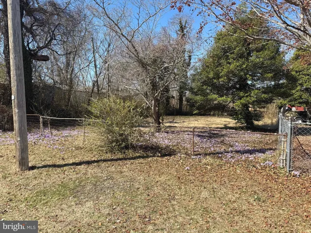 a view of backyard space