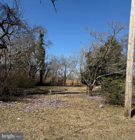 a view of outdoor space with trees