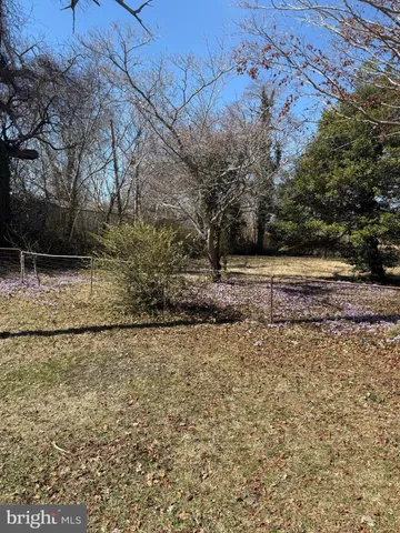 a view of a yard with a tree