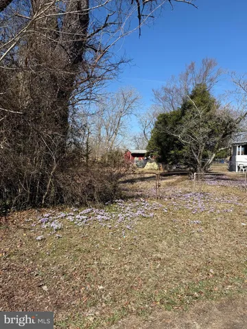 a view of a yard covered with snow in the yard