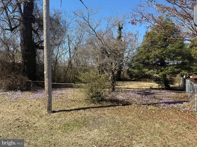 a view of a yard with trees