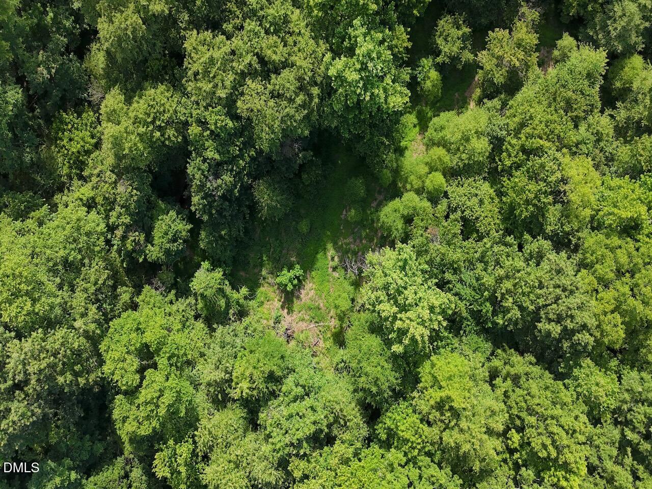 0 Tar River Road Oxford, NC 27565 - Photo 11 of 34 11