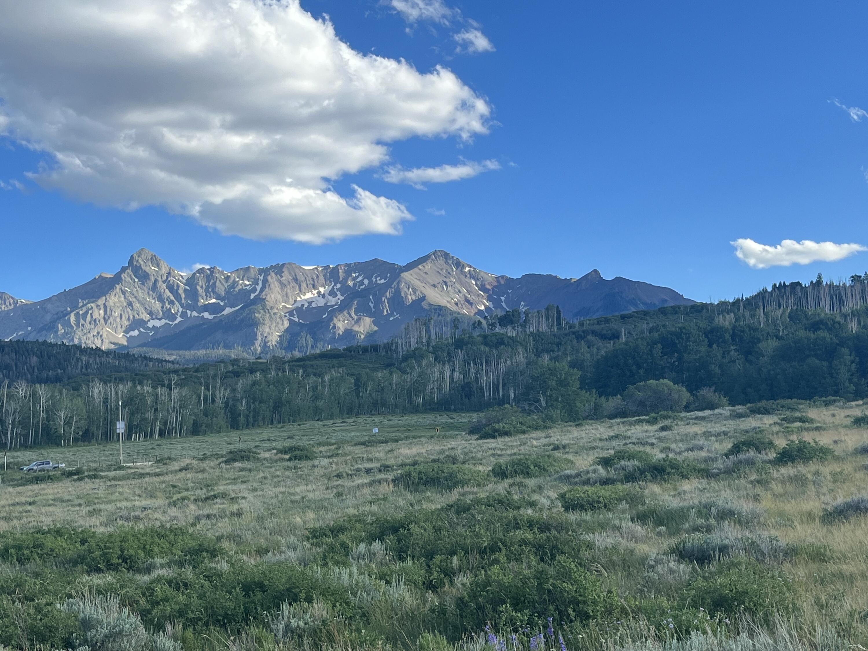 62 Highway 62 Ridgway, CO 81432 - Photo 9 of 13 View