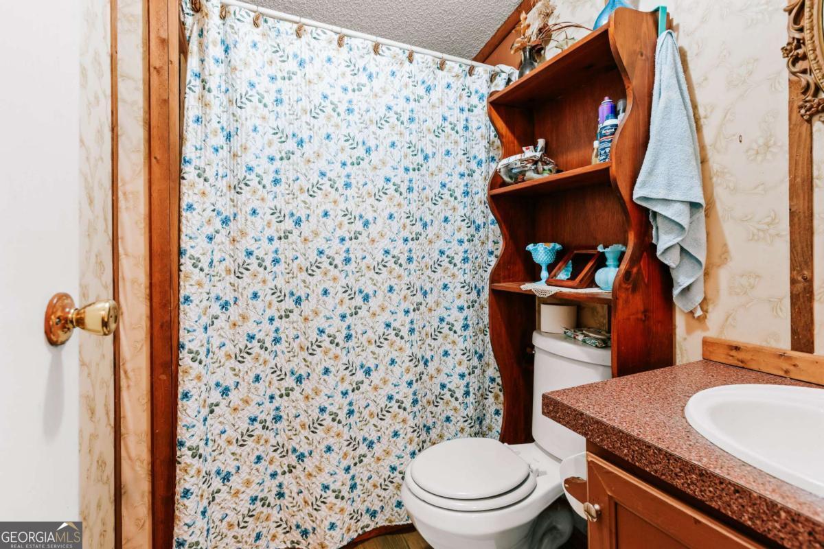 5971 Penfield Road Union Point, GA 30669 - Photo 22 of 42 a bathroom with a granite countertop toilet a sink and a mirror