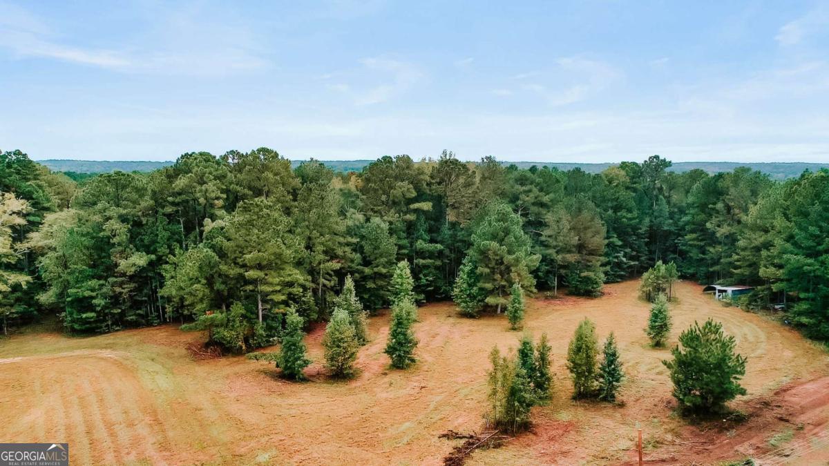 5971 Penfield Road Union Point, GA 30669 - Photo 41 of 42 a view of a yard with a tree