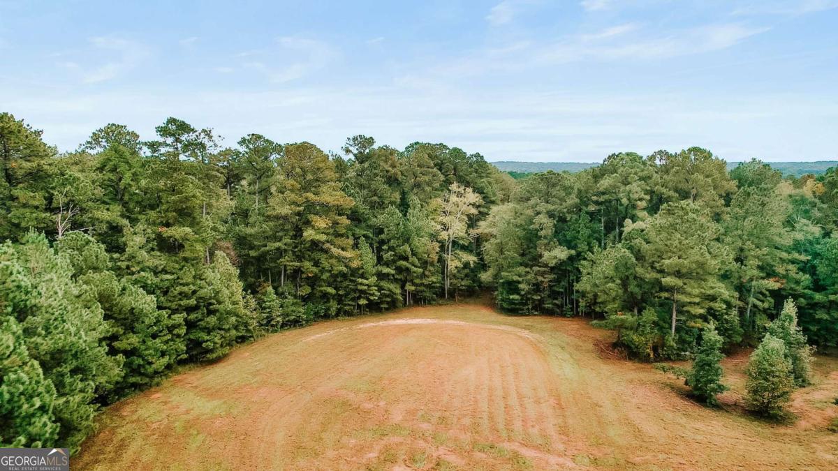 5971 Penfield Road Union Point, GA 30669 - Photo 42 of 42 a view of a yard with a tree