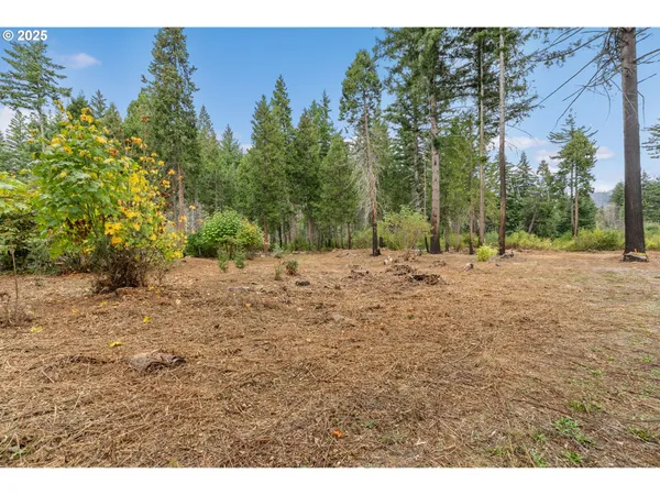 $299,000 | 51209 Blue River Drive, Vida, OR 97488