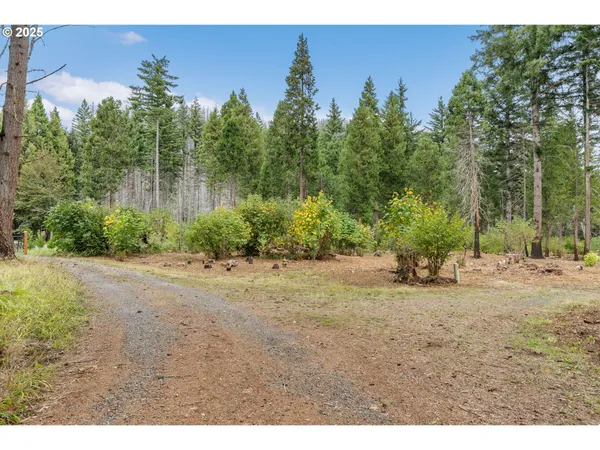 $299,000 | 51209 Blue River Drive, Vida, OR 97488