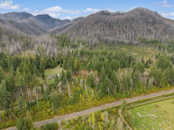 $299,000 | 51209 Blue River Drive, Vida, OR 97488