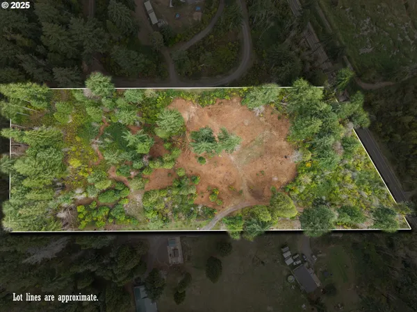 $299,000 | 51209 Blue River Drive, Vida, OR 97488