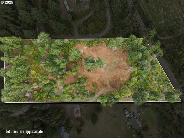 $299,000 | 51209 Blue River Drive, Vida, OR 97488