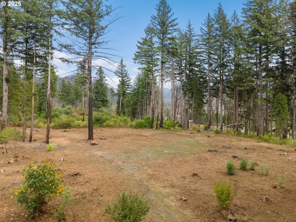 $299,000 | 51209 Blue River Drive, Vida, OR 97488