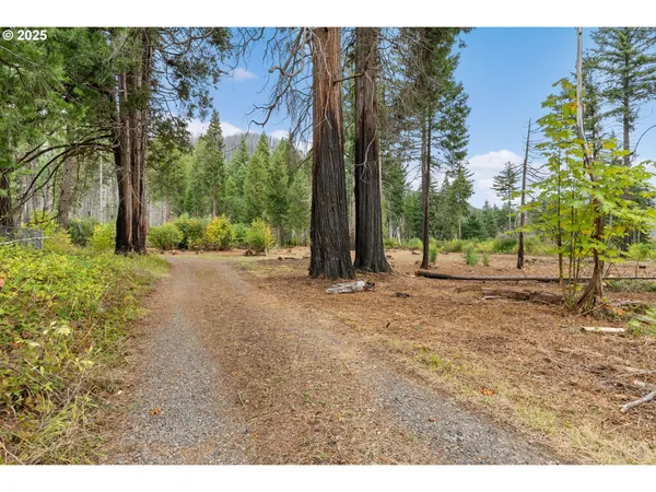 $299,000 | 51209 Blue River Drive, Vida, OR 97488