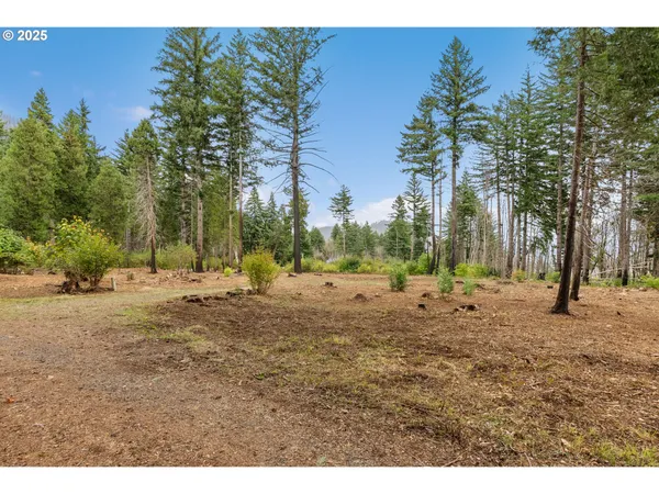 $299,000 | 51209 Blue River Drive, Vida, OR 97488