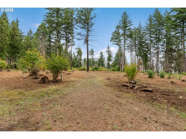 a backyard of a house with lots of green space