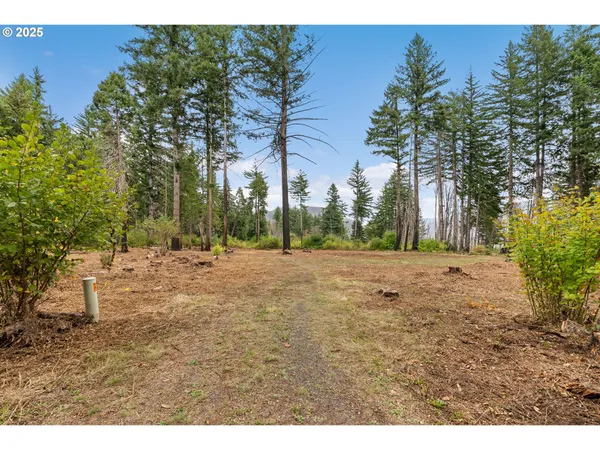 $299,000 | 51209 Blue River Drive, Vida, OR 97488