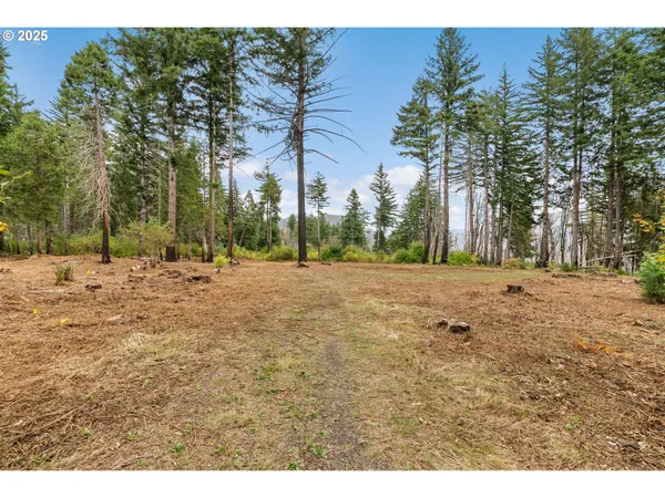 $299,000 | 51209 Blue River Drive, Vida, OR 97488