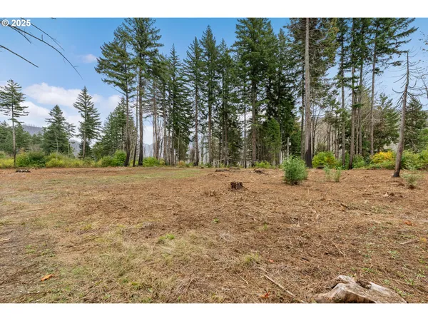 $299,000 | 51209 Blue River Drive, Vida, OR 97488