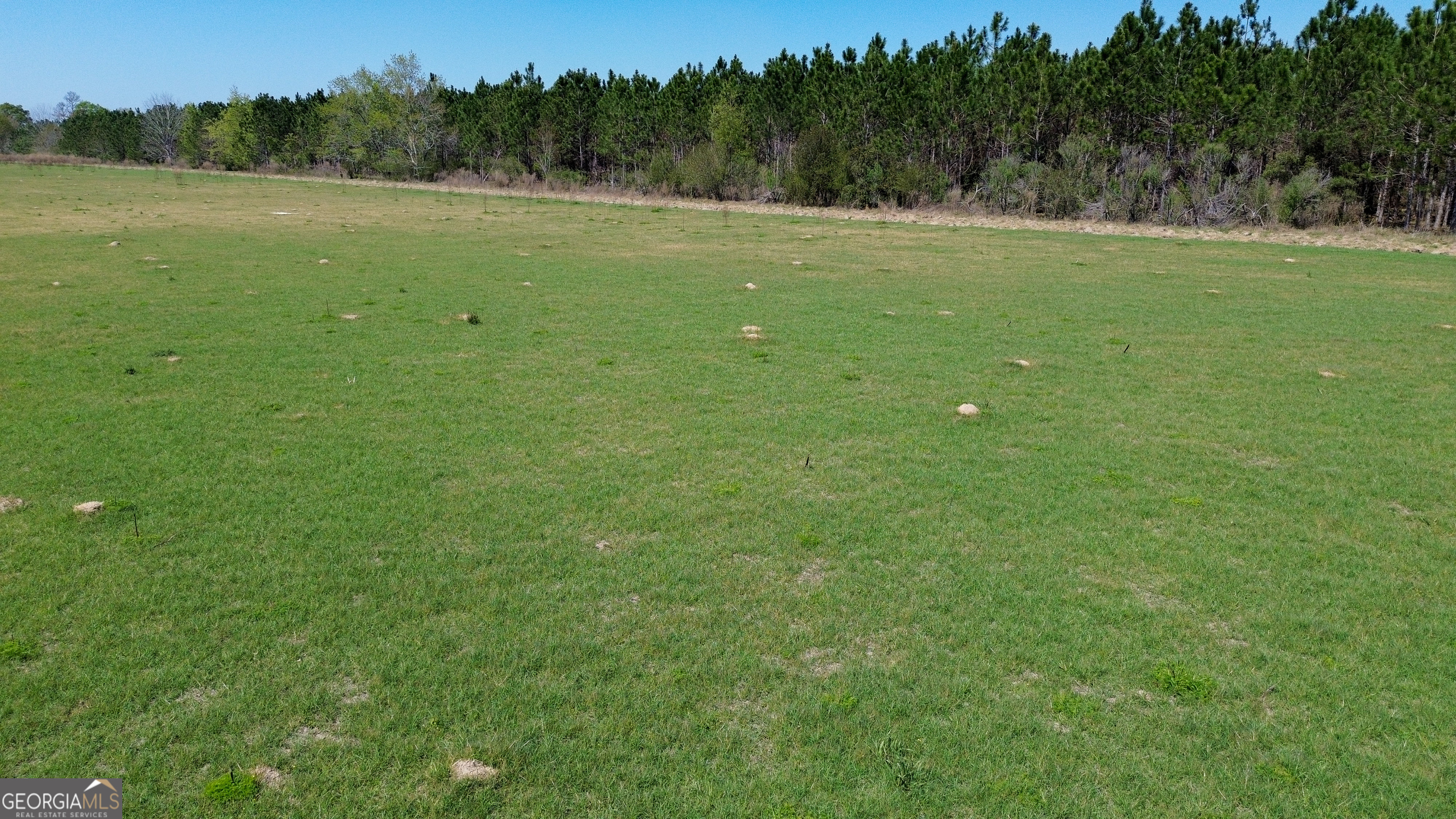 112 Seahorse Road Alma, GA 31510 - Photo 15 of 18