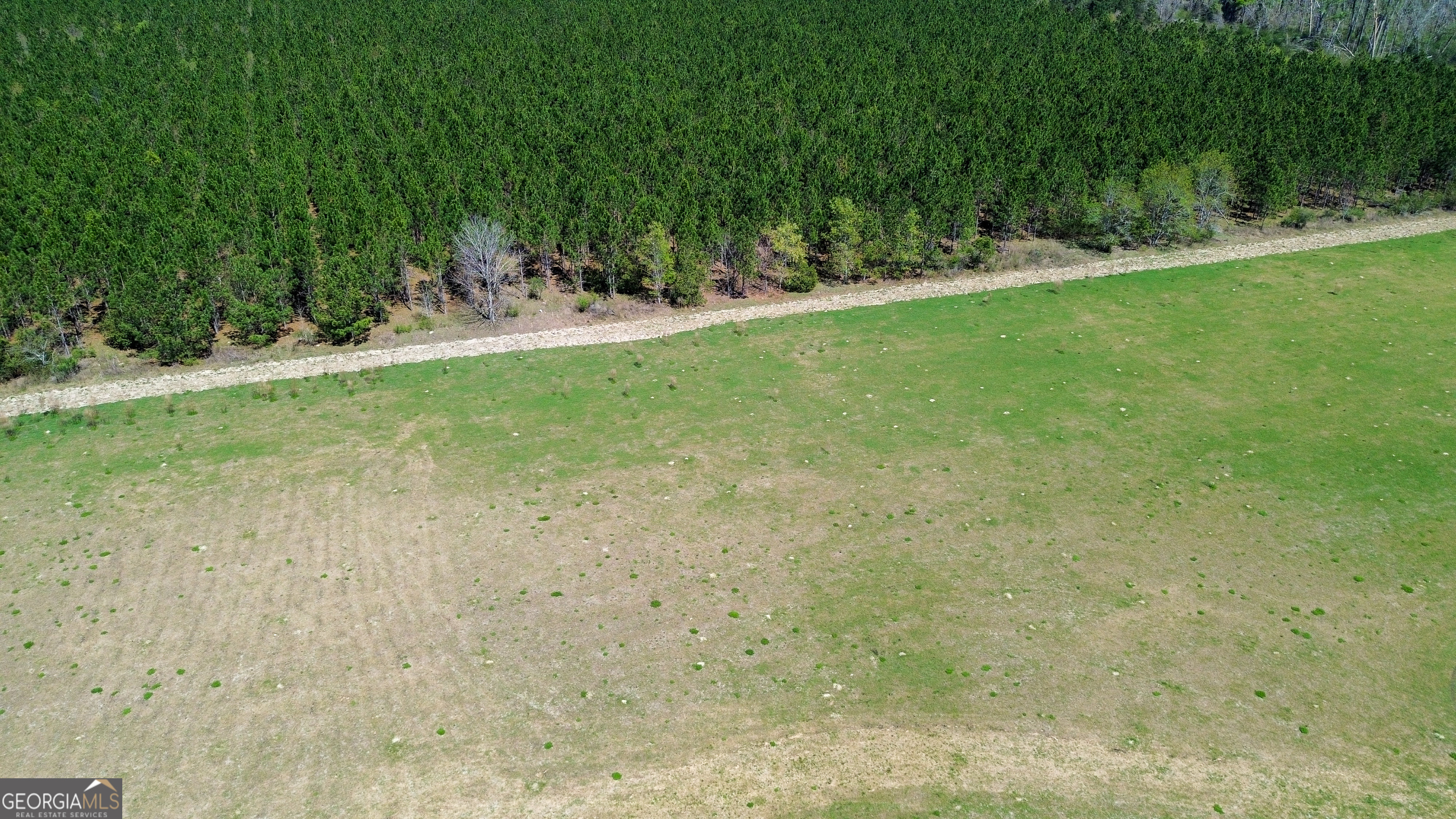 112 Seahorse Road Alma, GA 31510 - Photo 7 of 18