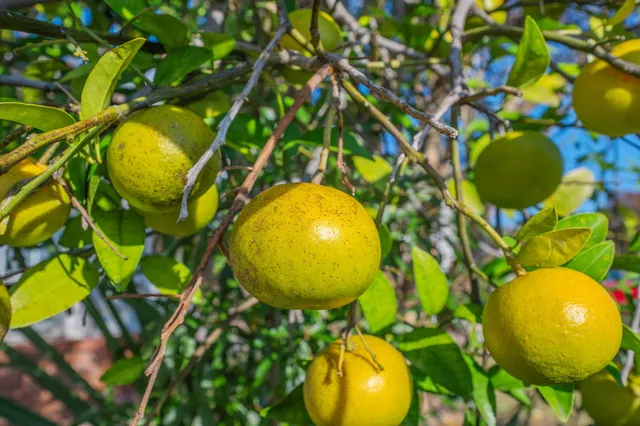 $335,000 | 130 Scranton Street, Fort Walton Beach, FL 32547