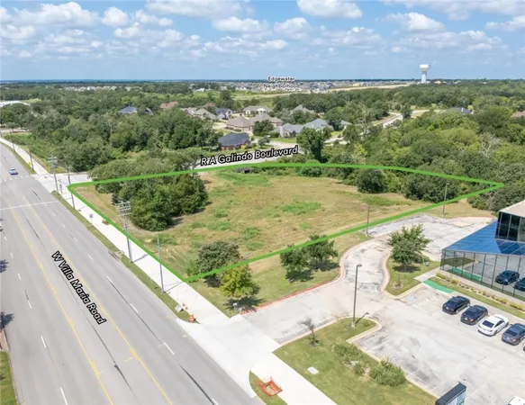 a view of a garden from a window