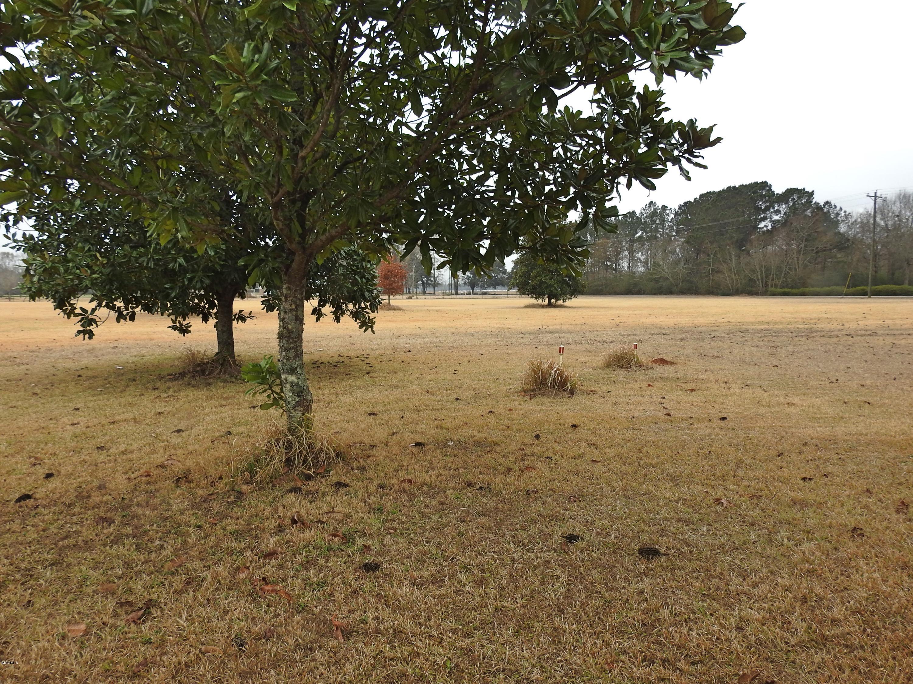 1208 Weeks Road Lucedale, MS 39452 - Photo 15 of 22 DSCN8467_Fotor