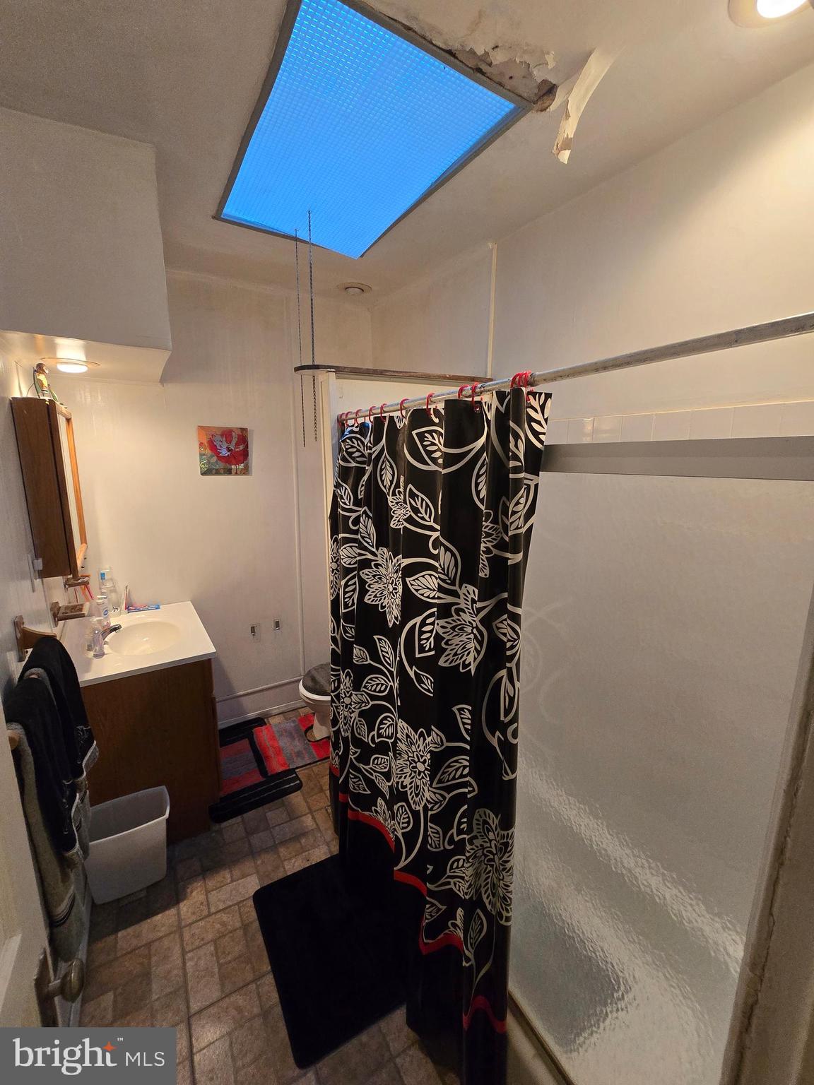 542 Herman Street Philadelphia, PA 19144 - Photo 27 of 29 Shower