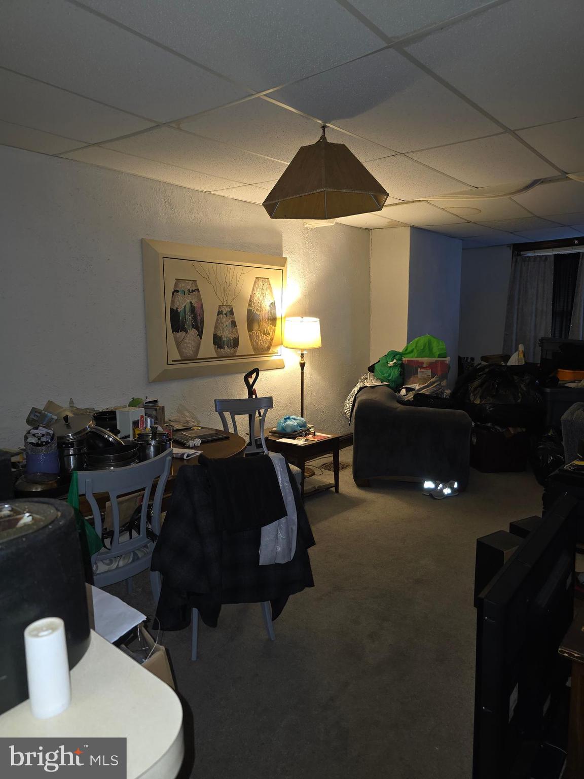 542 Herman Street Philadelphia, PA 19144 - Photo 4 of 29