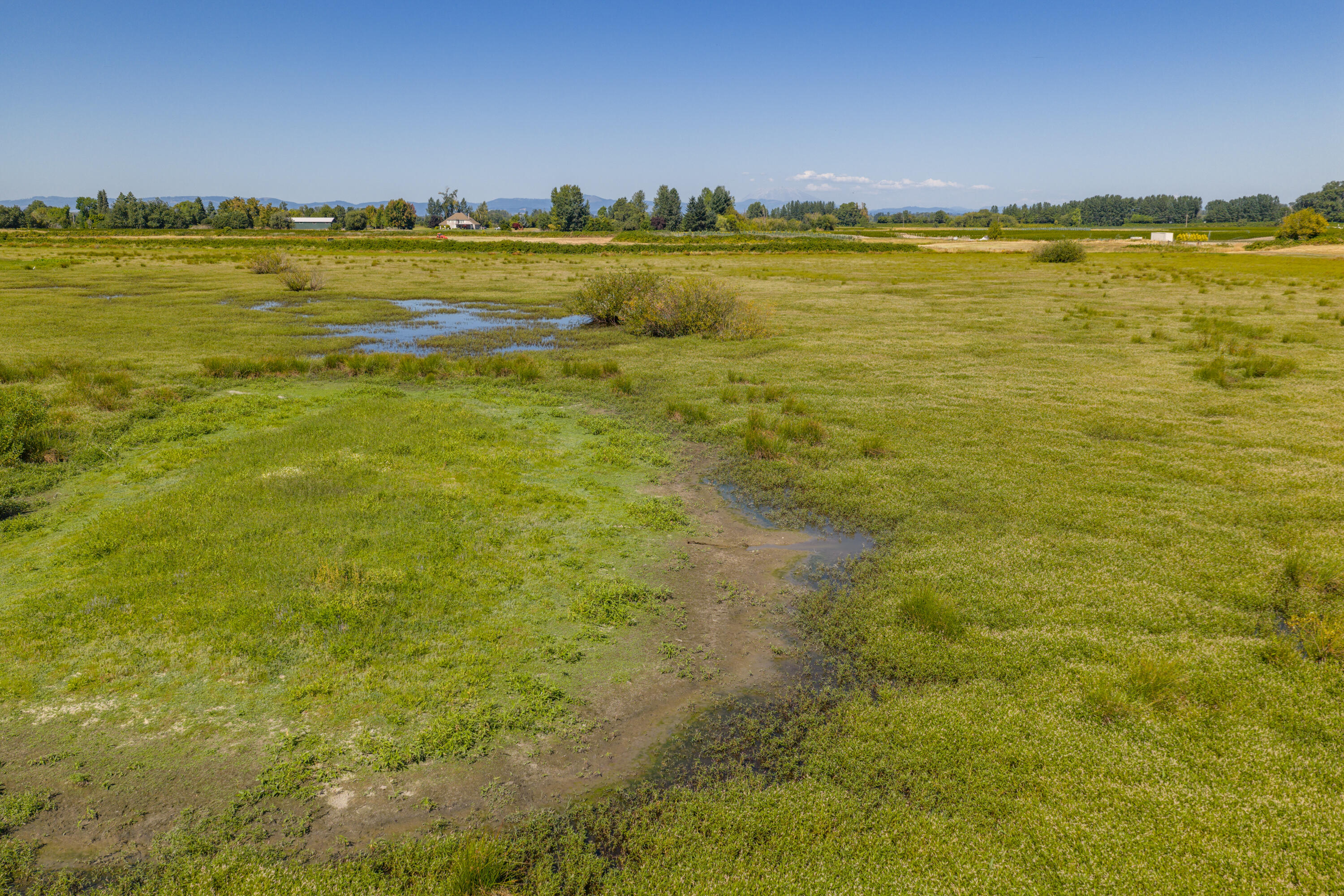 0 Duck Club Scappoose, OR 97056 - Photo 8 of 33