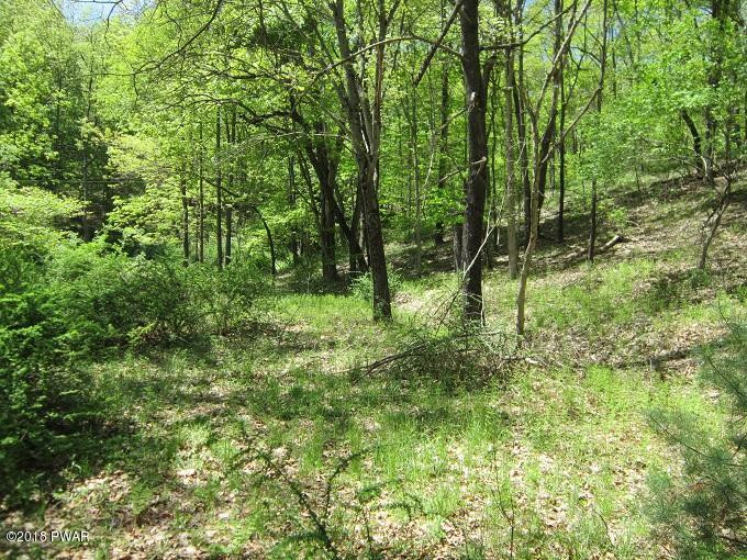 464 Stabler Road Hawley, PA 18428 - Photo 4 of 4